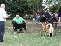 img 165